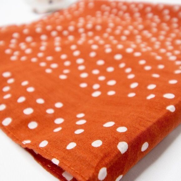 New!‎ Madewell bandana. Color: Faded Rust - Picture 11 of 16
